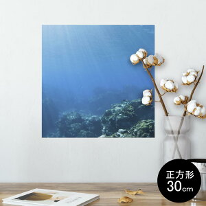 |X^[ EH[XebJ[ V[XebJ[  30×30cm Ssize `  CeA @ wall sticker poster 002834 C@ʐ^