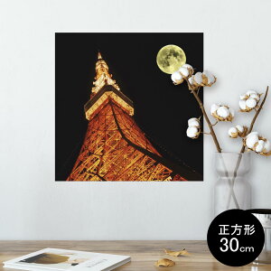 |X^[ EH[XebJ[ V[XebJ[  30×30cm Ssize `  CeA @ wall sticker poster 002836 iF@i@ʐ^