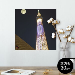 |X^[ EH[XebJ[ V[XebJ[  30×30cm Ssize `  CeA @ wall sticker poster 002838 iF@i@ʐ^