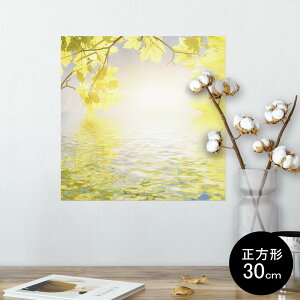 |X^[ EH[XebJ[ V[XebJ[  30×30cm Ssize `  CeA @ wall sticker poster 002940 ʐ^@iF@i