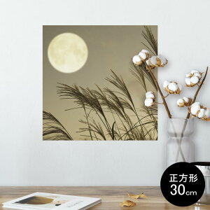 |X^[ EH[XebJ[ V[XebJ[  30×30cm Ssize `  CeA @ wall sticker poster 003164 ʐ^@iF@i
