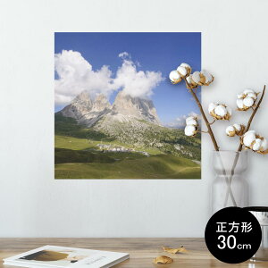 |X^[ EH[XebJ[ V[XebJ[  30×30cm Ssize `  CeA @ wall sticker poster 003260 O@ʐ^@iF@i