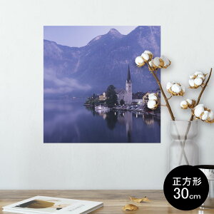 |X^[ EH[XebJ[ V[XebJ[  30×30cm Ssize `  CeA @ wall sticker poster 003261 O@ʐ^@iF@i
