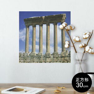 |X^[ EH[XebJ[ V[XebJ[  30×30cm Ssize `  CeA @ wall sticker poster 003262 O@ʐ^@iF@i