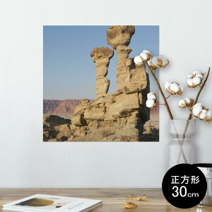 |X^[ EH[XebJ[ V[XebJ[  30×30cm Ssize `  CeA @ wall sticker poster 003263 O@ʐ^@iF@i