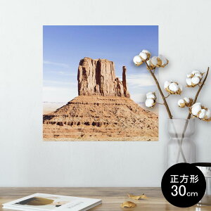 |X^[ EH[XebJ[ V[XebJ[  30×30cm Ssize `  CeA @ wall sticker poster 003265 O@ʐ^@iF@i