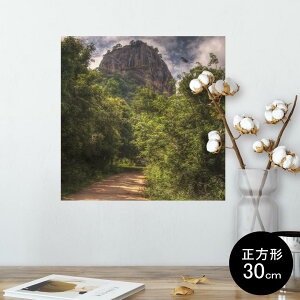 |X^[ EH[XebJ[ V[XebJ[  30×30cm Ssize `  CeA @ wall sticker poster 003266 O@ʐ^@iF@i