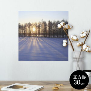 |X^[ EH[XebJ[ V[XebJ[  30×30cm Ssize `  CeA @ wall sticker poster 003272 ʐ^@iF@i
