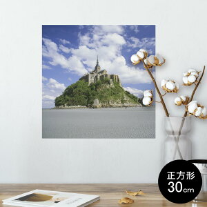 |X^[ EH[XebJ[ V[XebJ[  30×30cm Ssize `  CeA @ wall sticker poster 003273 O@ʐ^@iF@i
