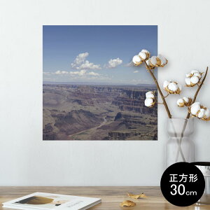 |X^[ EH[XebJ[ V[XebJ[  30×30cm Ssize `  CeA @ wall sticker poster 003275 O@ʐ^@iF@i