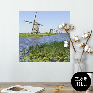 |X^[ EH[XebJ[ V[XebJ[  30×30cm Ssize `  CeA @ wall sticker poster 003280 O@ʐ^@iF@i