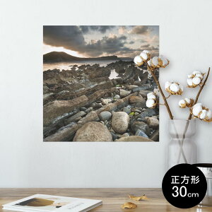 |X^[ EH[XebJ[ V[XebJ[  30×30cm Ssize `  CeA @ wall sticker poster 003281 O@ʐ^@iF@i