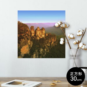 |X^[ EH[XebJ[ V[XebJ[  30×30cm Ssize `  CeA @ wall sticker poster 003282 O@ʐ^@iF@i