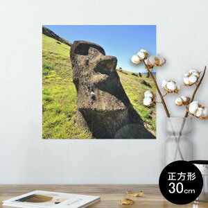 |X^[ EH[XebJ[ V[XebJ[  30×30cm Ssize `  CeA @ wall sticker poster 003283 O@ʐ^@iF@i