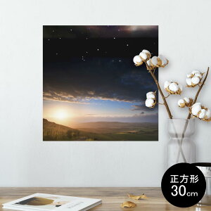 |X^[ EH[XebJ[ V[XebJ[  30×30cm Ssize `  CeA @ wall sticker poster 003286 O@ʐ^@iF@i
