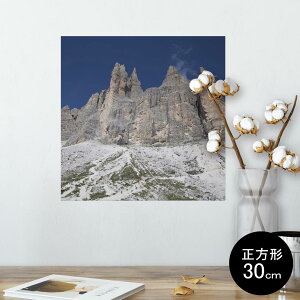|X^[ EH[XebJ[ V[XebJ[  30×30cm Ssize `  CeA @ wall sticker poster 003287 O@ʐ^@iF@i