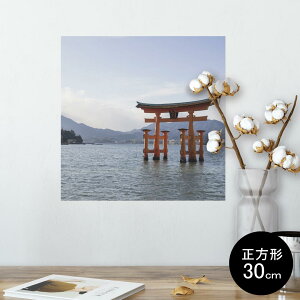|X^[ EH[XebJ[ V[XebJ[  30×30cm Ssize `  CeA @ wall sticker poster 003288 ʐ^@iF@i