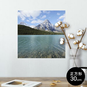 |X^[ EH[XebJ[ V[XebJ[  30×30cm Ssize `  CeA @ wall sticker poster 003291 O@ʐ^@iF@i