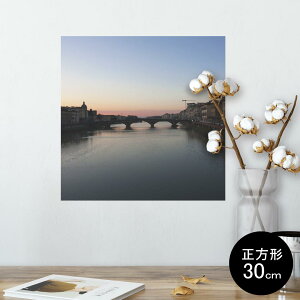 |X^[ EH[XebJ[ V[XebJ[  30×30cm Ssize `  CeA @ wall sticker poster 003293 O@ʐ^@iF@i