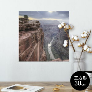 |X^[ EH[XebJ[ V[XebJ[  30×30cm Ssize `  CeA @ wall sticker poster 003297 O@ʐ^@iF@i