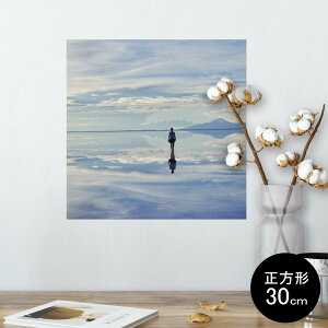 |X^[ EH[XebJ[ V[XebJ[  30×30cm Ssize `  CeA @ wall sticker poster 003298 ʐ^@i@iF