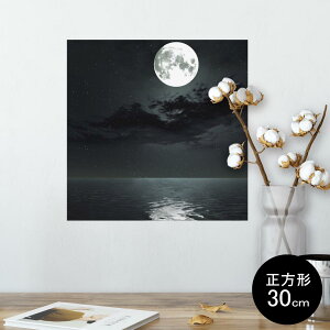 |X^[ EH[XebJ[ V[XebJ[  30×30cm Ssize `  CeA @ wall sticker poster 003304 i@iF@C