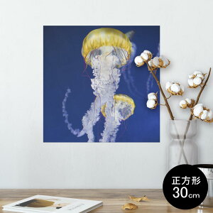 |X^[ EH[XebJ[ V[XebJ[  30×30cm Ssize `  CeA @ wall sticker poster 003306 炰@C@ʐ^