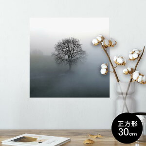 |X^[ EH[XebJ[ V[XebJ[  30×30cm Ssize `  CeA @ wall sticker poster 003319 i@iF@Vv