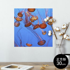 |X^[ EH[XebJ[ V[XebJ[  30×30cm Ssize `  CeA @ wall sticker poster 003327 炰@C@ʐ^