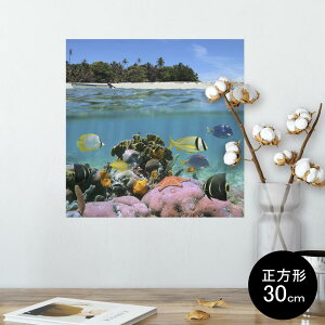 |X^[ EH[XebJ[ V[XebJ[  30×30cm Ssize `  CeA @ wall sticker poster 003328 C@O@ʐ^@iF