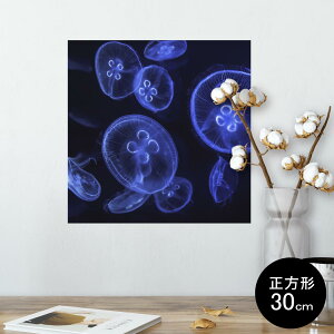 |X^[ EH[XebJ[ V[XebJ[  30×30cm Ssize `  CeA @ wall sticker poster 003336 炰@C@ʐ^