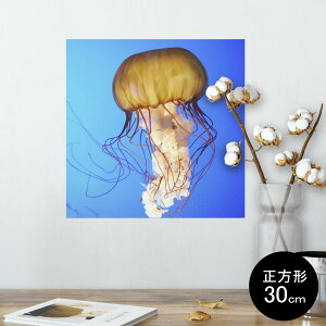 |X^[ EH[XebJ[ V[XebJ[  30×30cm Ssize `  CeA @ wall sticker poster 003338 炰@C@ʐ^