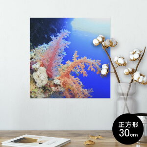 |X^[ EH[XebJ[ V[XebJ[  30×30cm Ssize `  CeA @ wall sticker poster 003341 C@ʐ^@iF@i
