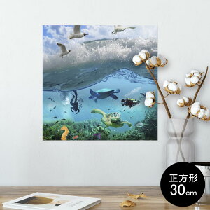 |X^[ EH[XebJ[ V[XebJ[  30×30cm Ssize `  CeA @ wall sticker poster 003379 C@@ʐ^