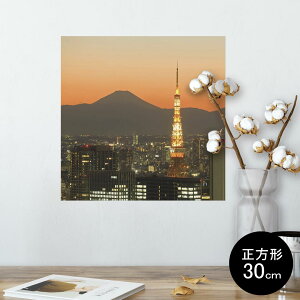 |X^[ EH[XebJ[ V[XebJ[  30×30cm Ssize `  CeA @ wall sticker poster 003407 ʐ^@i@iF
