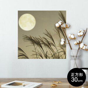 |X^[ EH[XebJ[ V[XebJ[  30×30cm Ssize `  CeA @ wall sticker poster 003409 ʐ^@iF@i