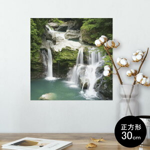 |X^[ EH[XebJ[ V[XebJ[  30×30cm Ssize `  CeA @ wall sticker poster 003434 ʐ^@i@iF