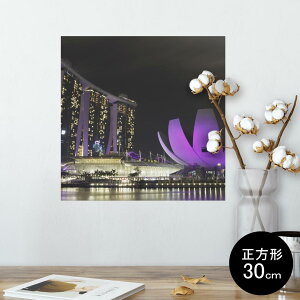 |X^[ EH[XebJ[ V[XebJ[  30×30cm Ssize `  CeA @ wall sticker poster 003454 O@ʐ^@iF@i