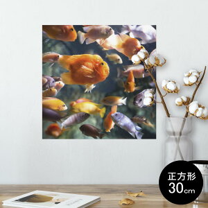 |X^[ EH[XebJ[ V[XebJ[  30×30cm Ssize `  CeA @ wall sticker poster 003538 @C@ʐ^