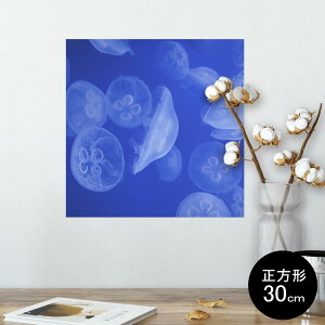 |X^[ EH[XebJ[ V[XebJ[  30×30cm Ssize `  CeA @ wall sticker poster 003560 炰@C@ʐ^