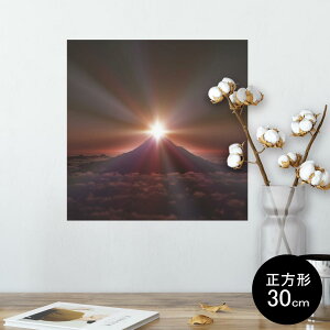 |X^[ EH[XebJ[ V[XebJ[  30×30cm Ssize `  CeA @ wall sticker poster 003591 iF@i