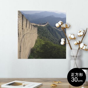 |X^[ EH[XebJ[ V[XebJ[  30×30cm Ssize `  CeA @ wall sticker poster 003652 i@iF@ʐ^