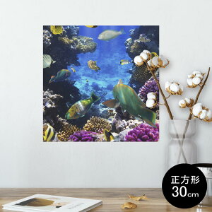 |X^[ EH[XebJ[ V[XebJ[  30×30cm Ssize `  CeA @ wall sticker poster 004493 C@@ʐ^