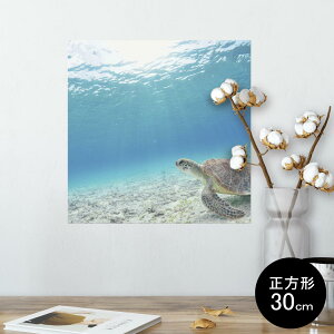 |X^[ EH[XebJ[ V[XebJ[  30×30cm Ssize `  CeA @ wall sticker poster 004605 E~K@C@ʐ^
