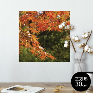 |X^[ EH[XebJ[ V[XebJ[  30×30cm Ssize `  CeA @ wall sticker poster 004615 gt@H@i