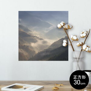 |X^[ EH[XebJ[ V[XebJ[  30×30cm Ssize `  CeA @ wall sticker poster 004702 iF@i@ʐ^