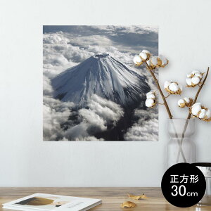 |X^[ EH[XebJ[ V[XebJ[  30×30cm Ssize `  CeA @ wall sticker poster 004735 ʐ^@iF@i