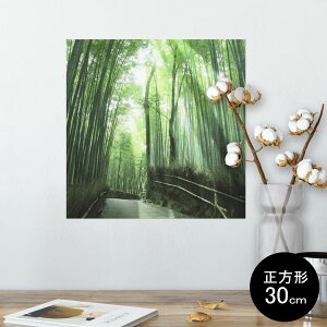 �|�X�^�[ �E�H�[���X�e�b�J�[ �V�[�����X�e�b�J�[ ���� 30×30cm Ssize �����` �� �C���e���A �������@�������� wall sticker poster 004996 �i�F�@�|�с@�ʐ^