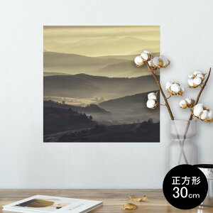 |X^[ EH[XebJ[ V[XebJ[  30×30cm Ssize `  CeA @ wall sticker poster 005891 ʐ^@i@R