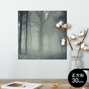 |X^[ EH[XebJ[ V[XebJ[  30×30cm Ssize `  CeA @ wall sticker poster 005899 ʐ^@X@